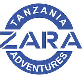 Zara Tours