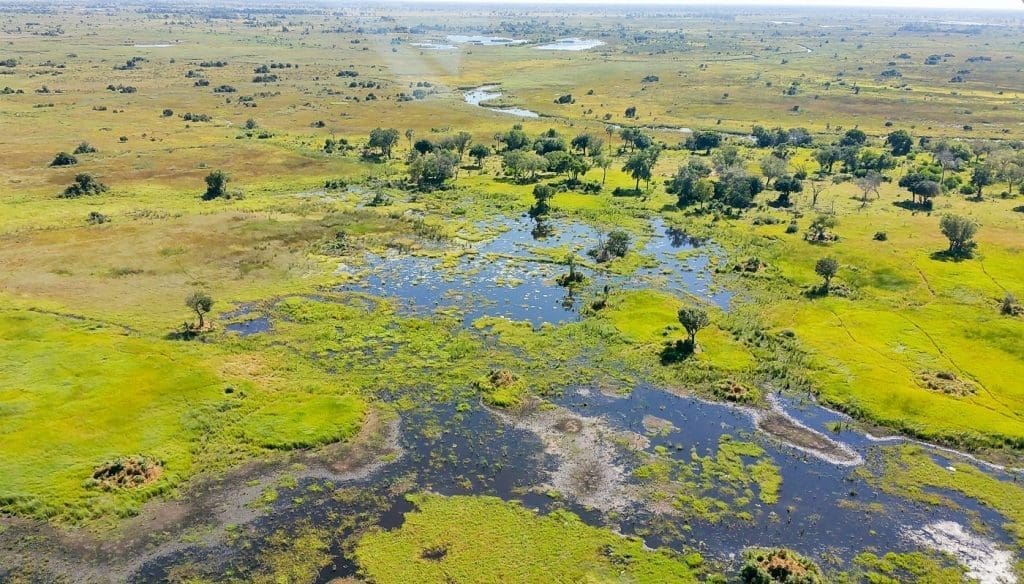 Okavango Delta Exploration