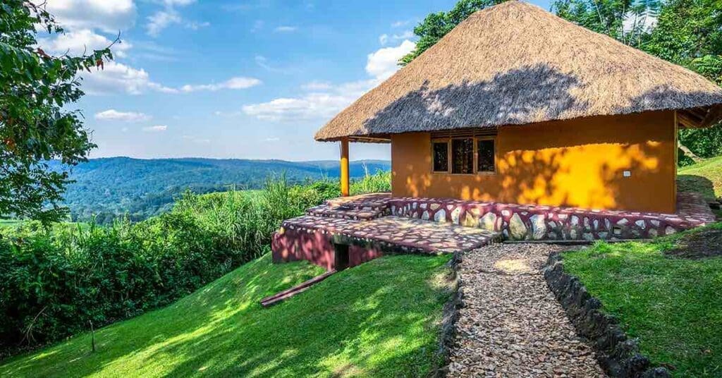 Transfer to Kibale National Park