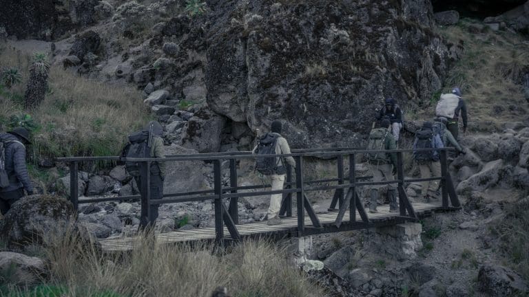 Climbing Mount Kilimanjaro Success Rate By Route